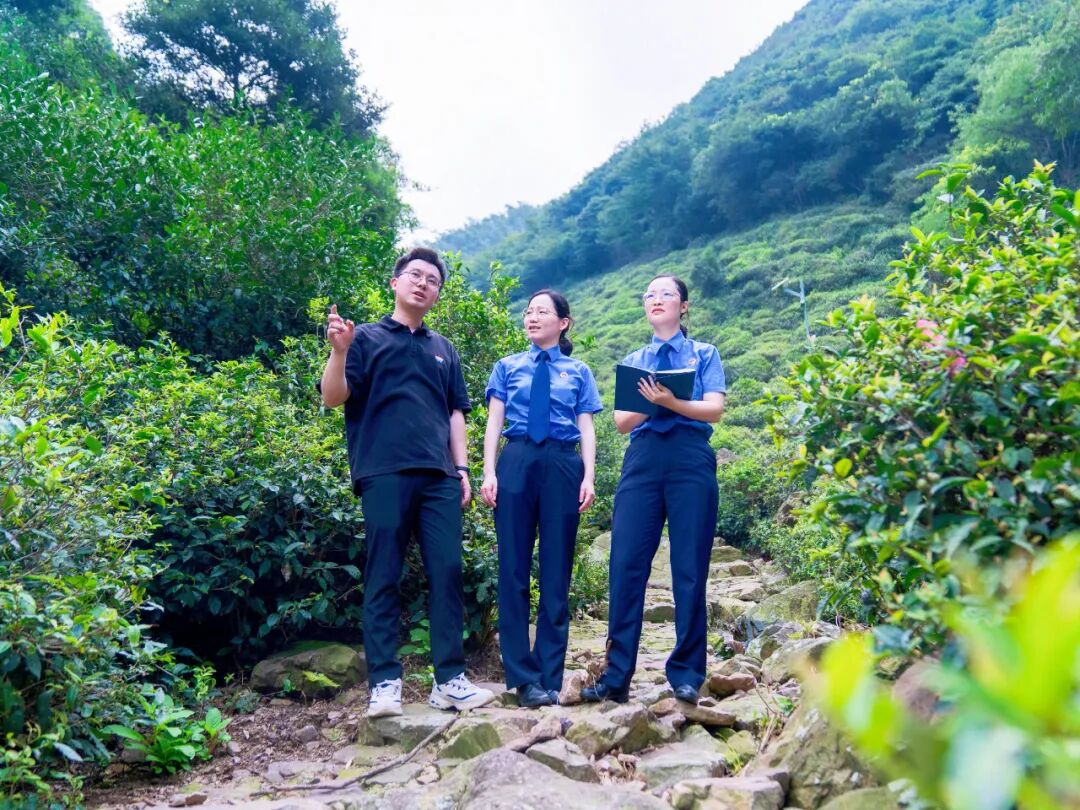 在“两山”理念诞生地，看见美丽检察